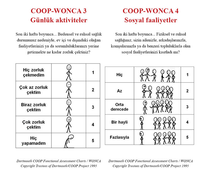 Coop Wonca Functional Health Assessment Charts