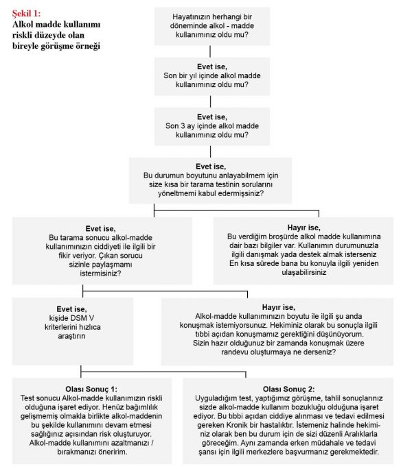 Birinci Basamak Sağlık Hizmetlerinde Alkol-madde Kullanımı Olan ...